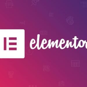 Plugin-elementor-pro